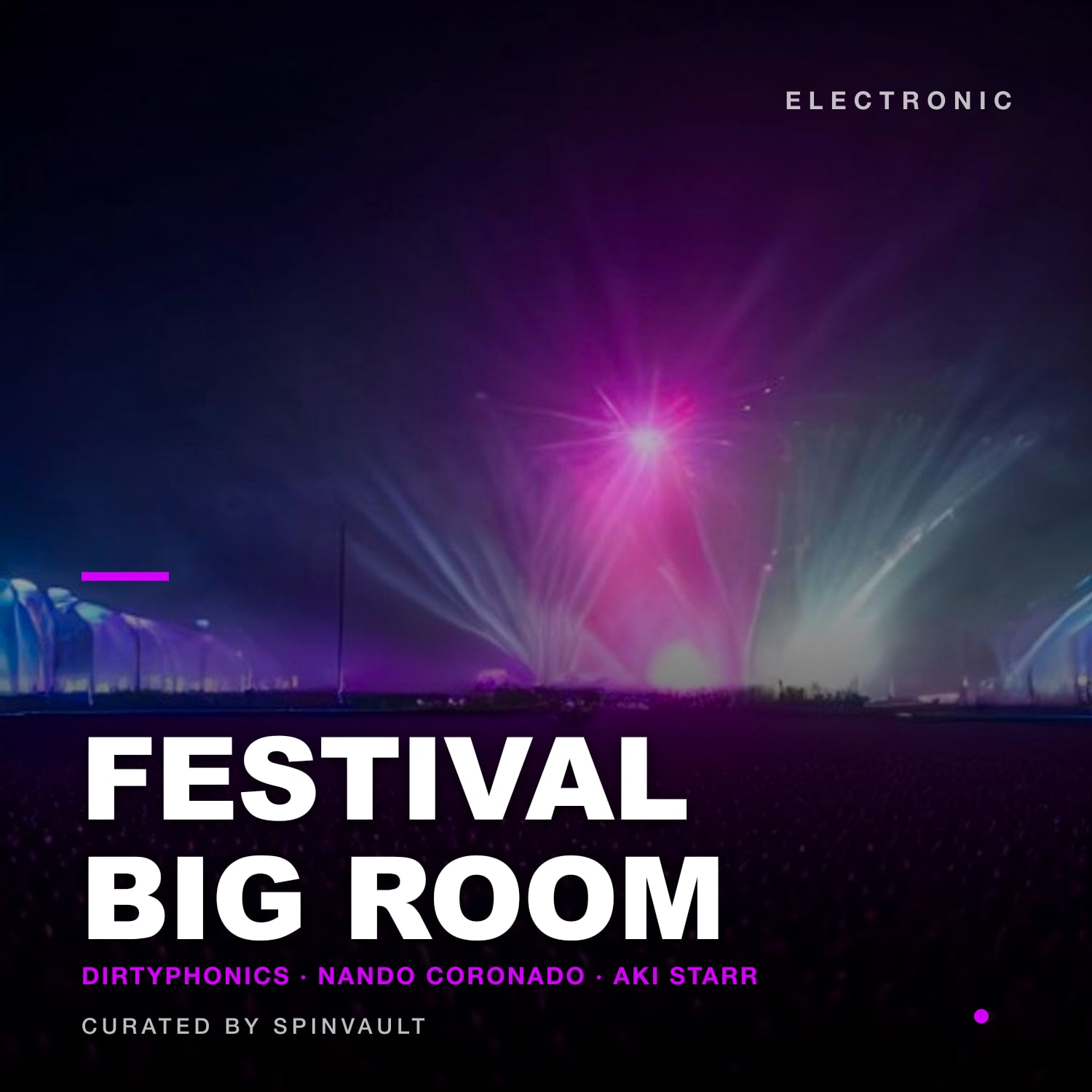 FESTIVAL BIG ROOM